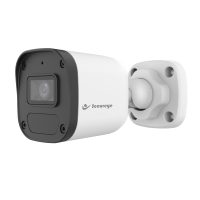 SECUREYE 2MP IP IR BULLET CAMERA ( SR-C2B-F4A-IR)